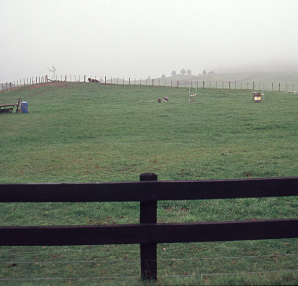 Our horse farm, Taupo